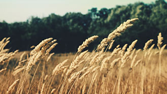 无限轰炸手机软件短信下载