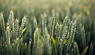 短信验证码轰炸